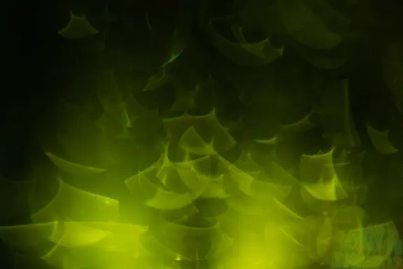 Билиън Казино Поддръжка